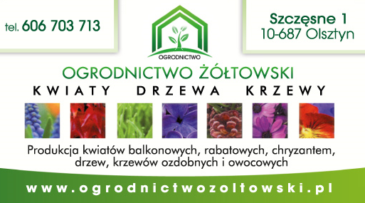 Ogrodnictwo Adam Żółtowski Szczęsne, Olsztyn - Kwiaty /Drzewa / Krzewy 
