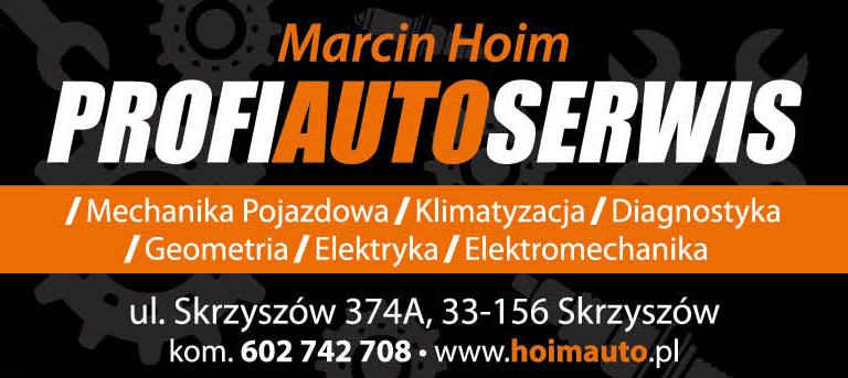 Auto Serwis ELEFANT Marcin Hoim Skrzyszów Mechanika Pojazdowa / Klimatyzacja / Diagnostyka