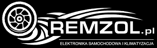 REMZOL Service