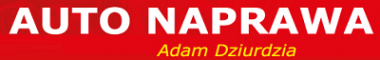 AUTO NAPRAWA Adam Dziurdzia