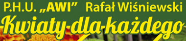 P.H.U. "AWI" Rafał Wiśniewski