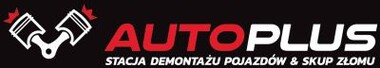 Paweł Potok AUTO-PLUS