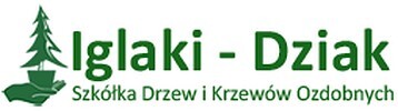 Iglaki-Dziak