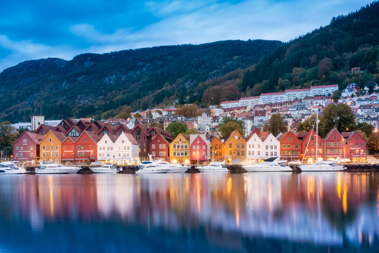 Jak założyć własną firmę w Norwegii? Aspekty prawne i podatkowe