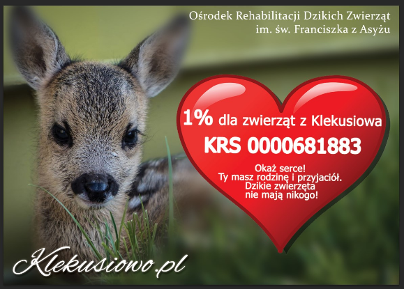 Ośrodek Rehabilitacji Dzikich Zwierząt Klekusiowo prosi o przekazanie 1 proc. podatku