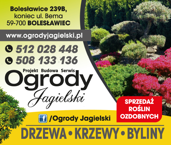OGRODY JAGIELSKI Bolesławiec - Projektowanie, budowa i pielęgnacja ogrodów - Prace budowlane