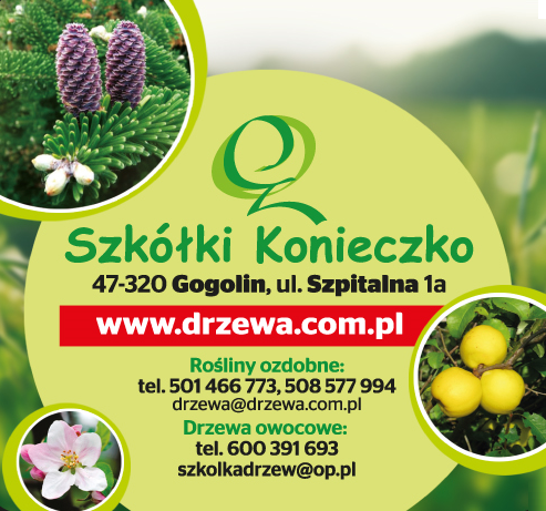 Szkółki Konieczko Gogolin- Drzewa i krzewy ozdobne, nietypowe owocowe, Drzewa i krzewy owocowe, róże