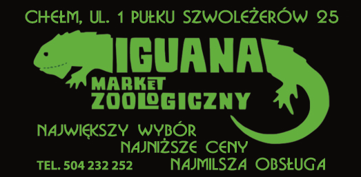 IGUANA Market Zoologiczny Chełm