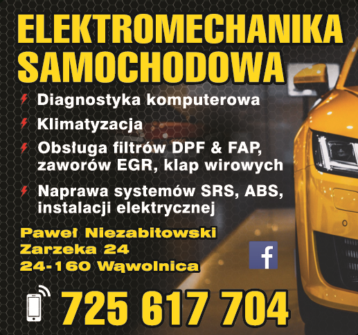 ELEKTROMECHANIKA SAMOCHODOWA Paweł Niezabitowski Zarzeka