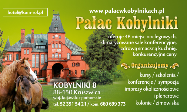 Pałac Kobylniki - NOCLEGI, SZKOLENIA, KONFERENCJE, IMPREZY OKOLICZNOŚCIOWE, KOLONIE, ZIMOWISKA