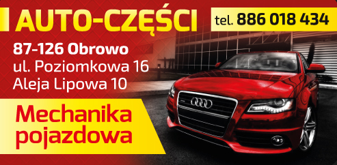 AUTO-CZĘŚCI Obrowo - Sklep Motoryzacyjny, Mechanika pojazdowa 