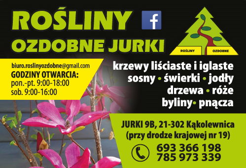 Rośliny Ozdobne Jurki Krzewy Liściaste i Iglaste / Sosny / Świerki / Jodły / Drzewa / Róże / Byliny