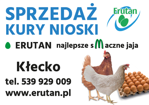 ERUTAN Kłecko Najlepsze Smaczne Jaja / Sprzedaż Kury Nioski