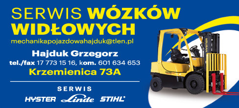 Hajduk Grzegorz Krzemienica Serwis Wózków Widłowych