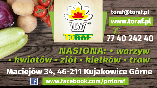 Przedsiębiorstwo Nasienne TORAF Maciejów Nasiona Warzyw / Kwiatów / Ziół / Kiełków / Traw