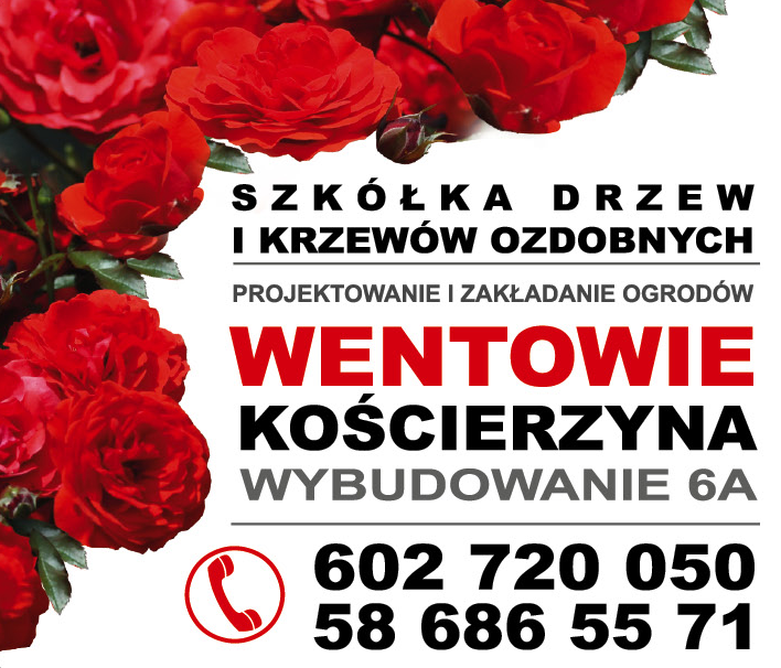 Szkółka Roślin Ozdobnych Wentowie Wybudowanie Projektowanie i Zakładanie Ogrodów