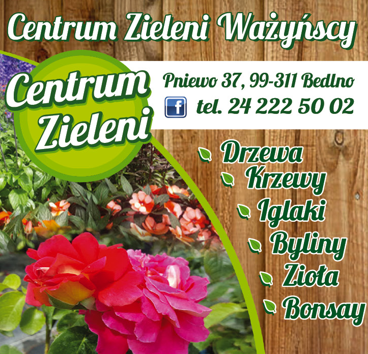 Centrum Zieleni Ważyńscy Pniewo Drzewa / Krzewy / Iglaki / Byliny / Zioła / Bonsay
