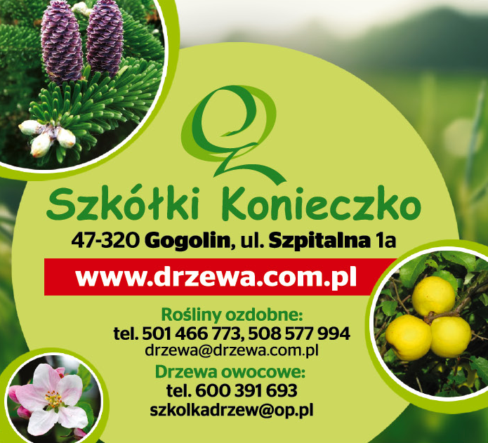 Szkółki Konieczko Gogolin Rośliny Ozdobne / Drzewa Owocowe