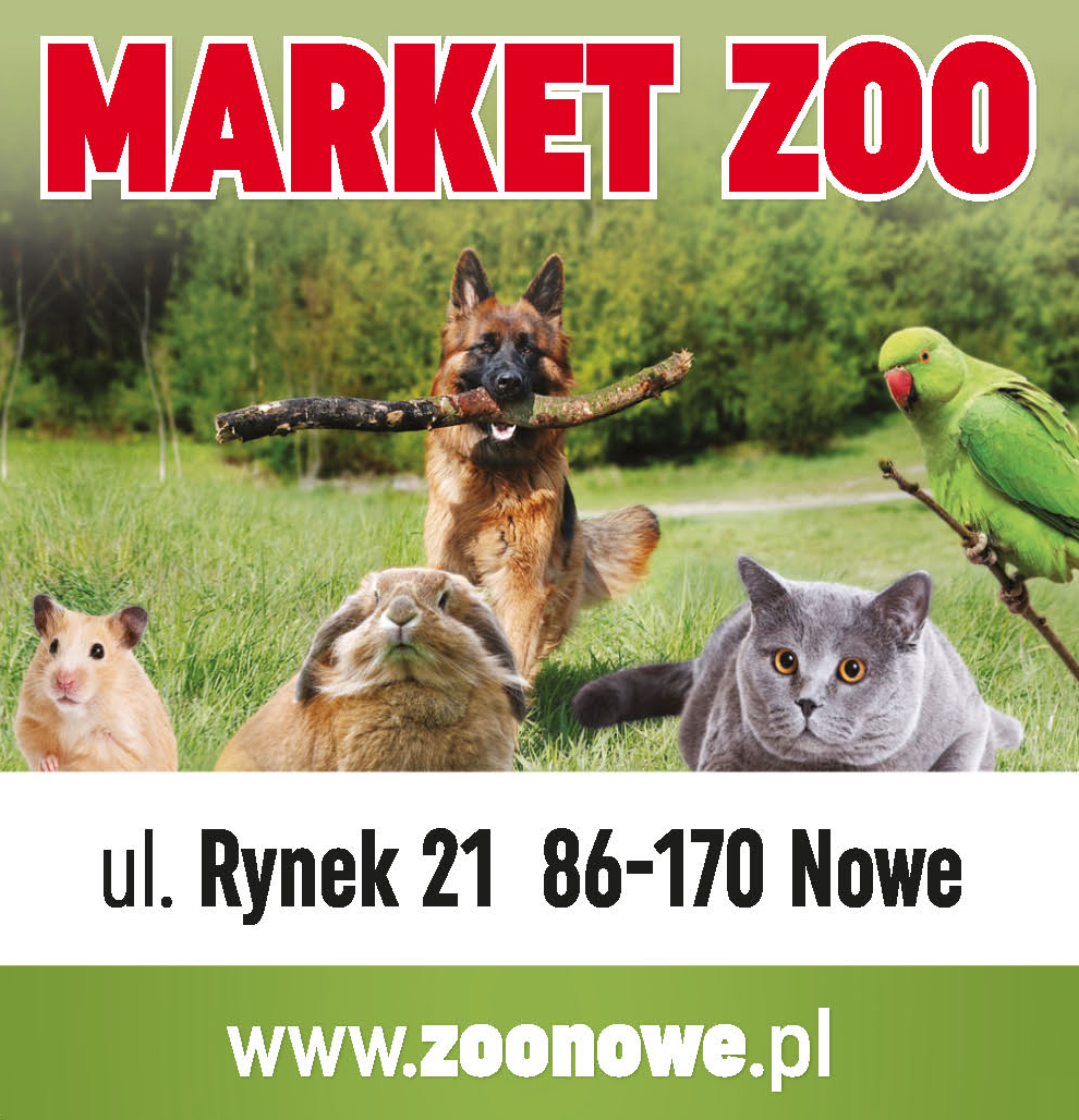 ZOONOWE.PL Nowe Market ZOO 