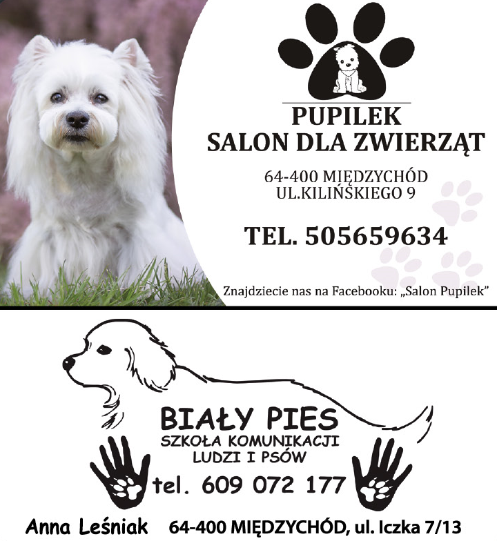 PUPILEK Międzychód Salon Dla Zwierząt | BIAŁY PIES Międzychód Szkoła Komunikacji Ludzi i Psów