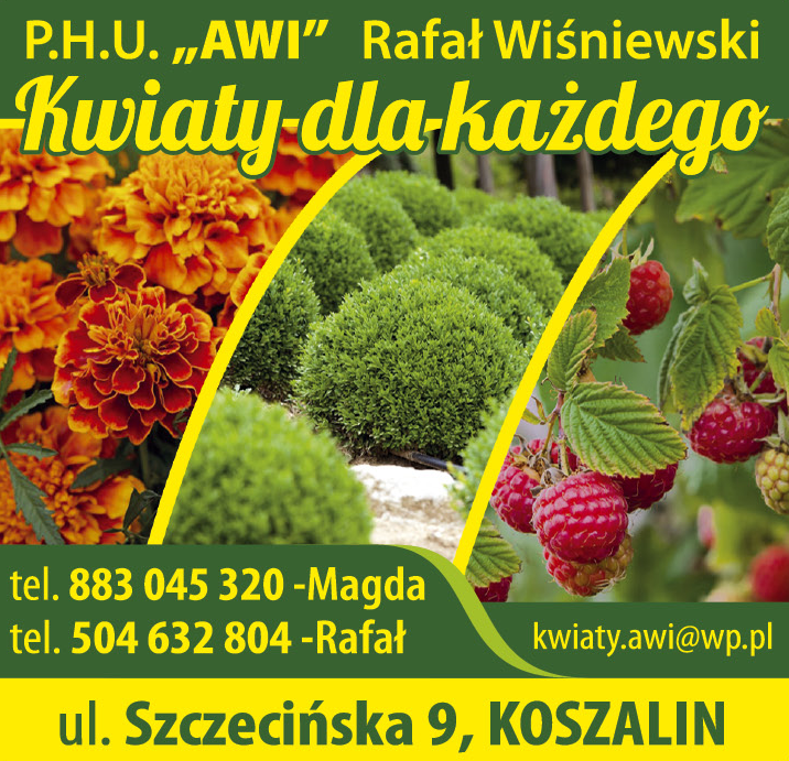 P.H.U. "AWI" Rafał Wiśniewski Koszalin Kwiaty Dla Każdego / Sprzedaż Hurtowa i Detaliczna