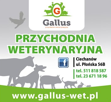 GALLUS Przychodnia Weterynaryjna Ciechanów