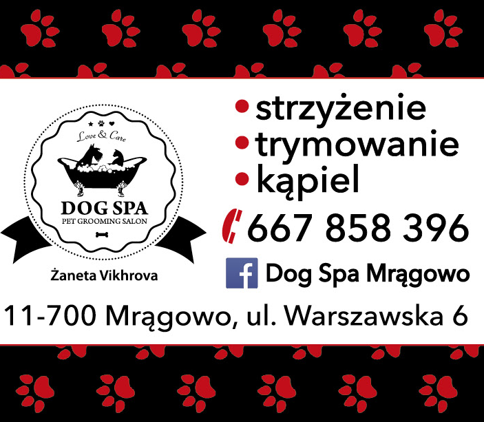 DOG SPA Pet Grooming Salon Żaneta Vikhrova Mrągowo Strzyżenie / Trymowanie / Kąpiel