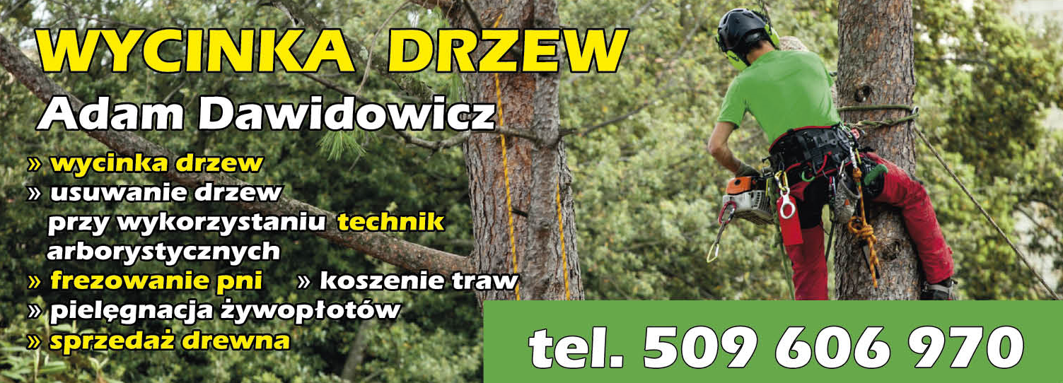 WYCINKA DRZEW Adam Dawidowicz Miłoradz Wycinka Drzew / Frezowanie Pni / Koszenie Traw