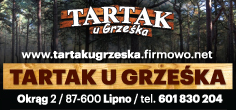 "TARTAK U GRZEŚKA" Grzegorz Dudkiewicz Lipno Handel i Usługi Tartaczne 
