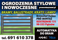 PRO-MONTAŻ Krzysztof Dubas Pątnów - Ogrodzenia - Bramy - Balustrady