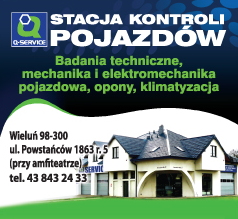 STACJA KONTROLI POJAZDÓW Wojciech Włodarczyk Wieluń Badania Techniczne 