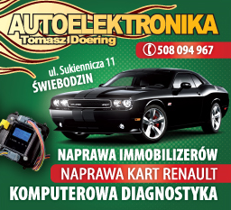 AUTO ELEKTRONIKA Tomasz Doering Świebodzin - Naprawa Immobilizerów - Diagnostyka Komputerowa