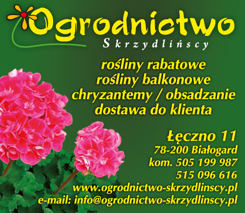 OGRODNICTWO Skrzydlińscy Białogard Rośliny Rabatowe / Balkonowe / Chryzantemy / Dostawa do Klienta